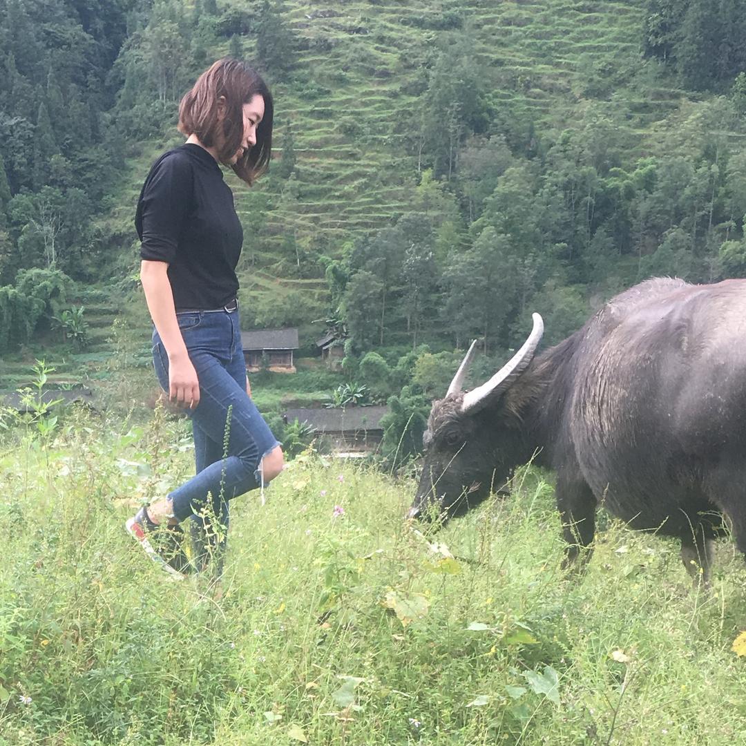 不羡鸳鸯不羡仙