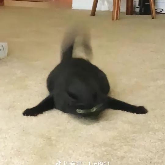 Yu”