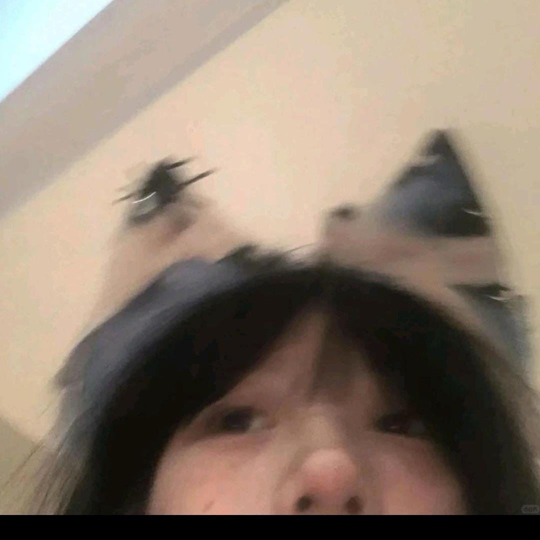 布灵小鱼