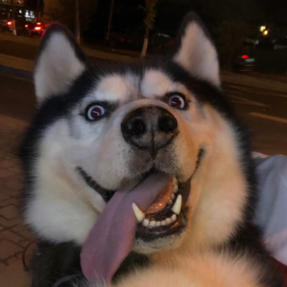 𝔈吴月仙境         ༽