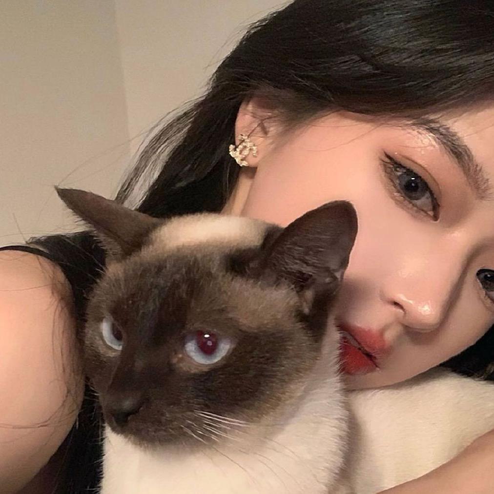 小小星🌟