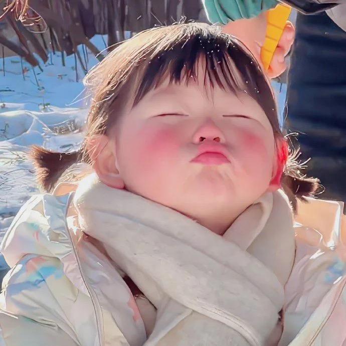 小饼干表情包