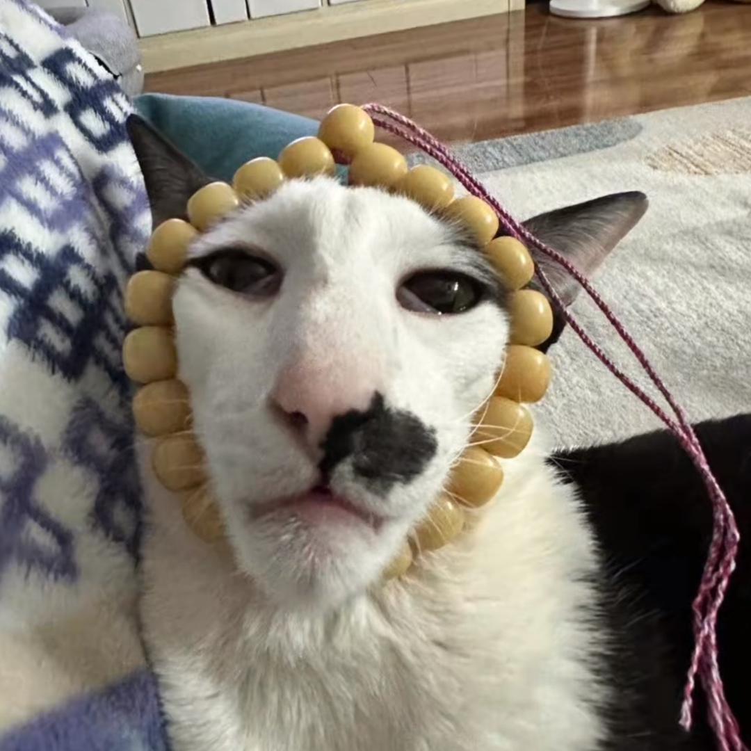 ^ 旺汪 ^