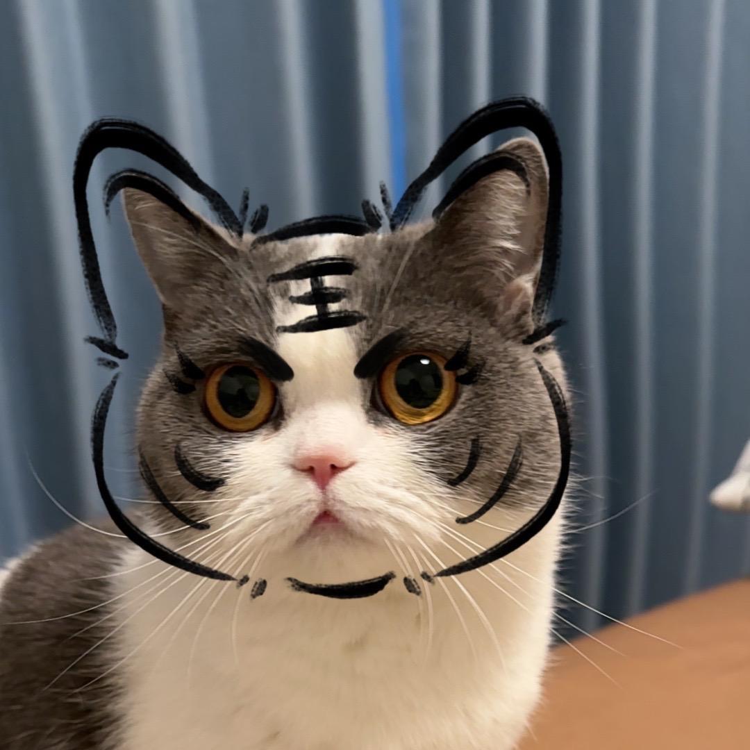 J