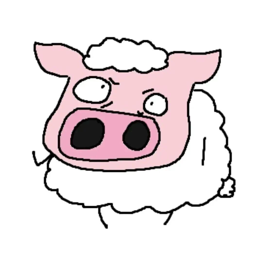 邪恶银渐层主理人