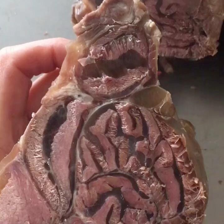 小丽爱美食