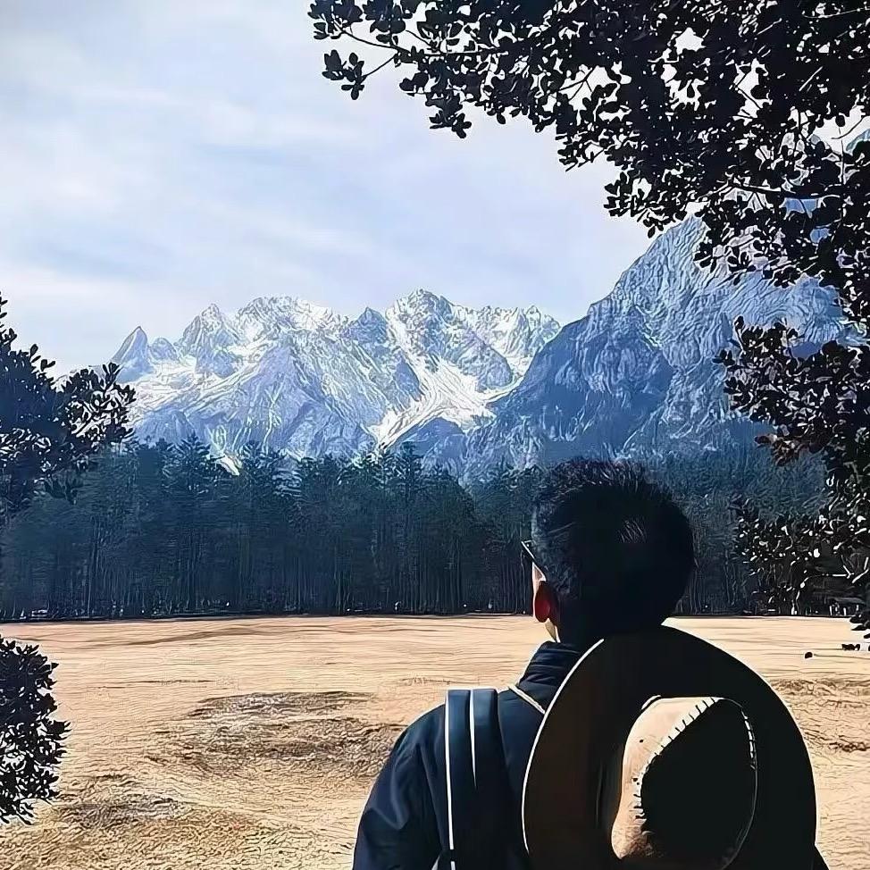 刘莹.
