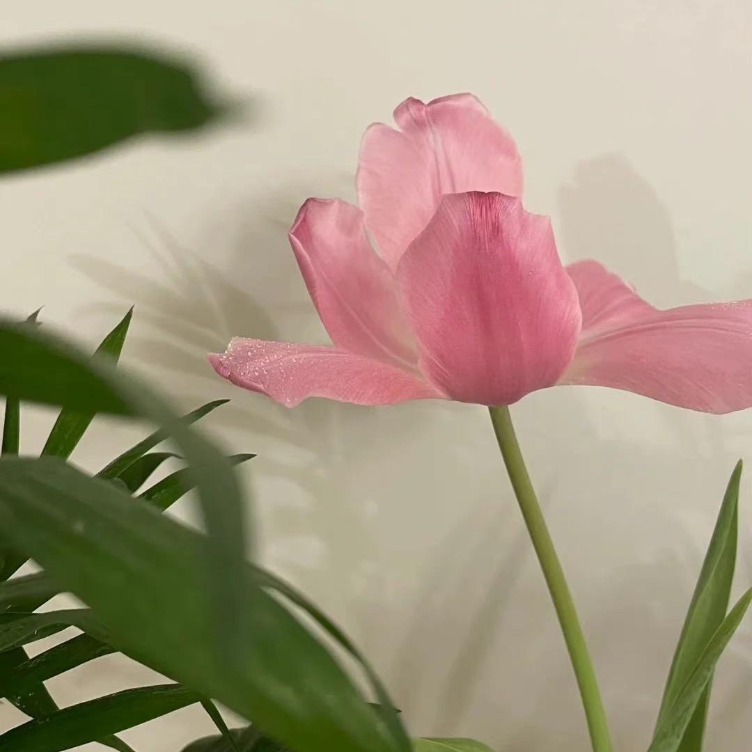 浙江博特缝纫机股份有限公司