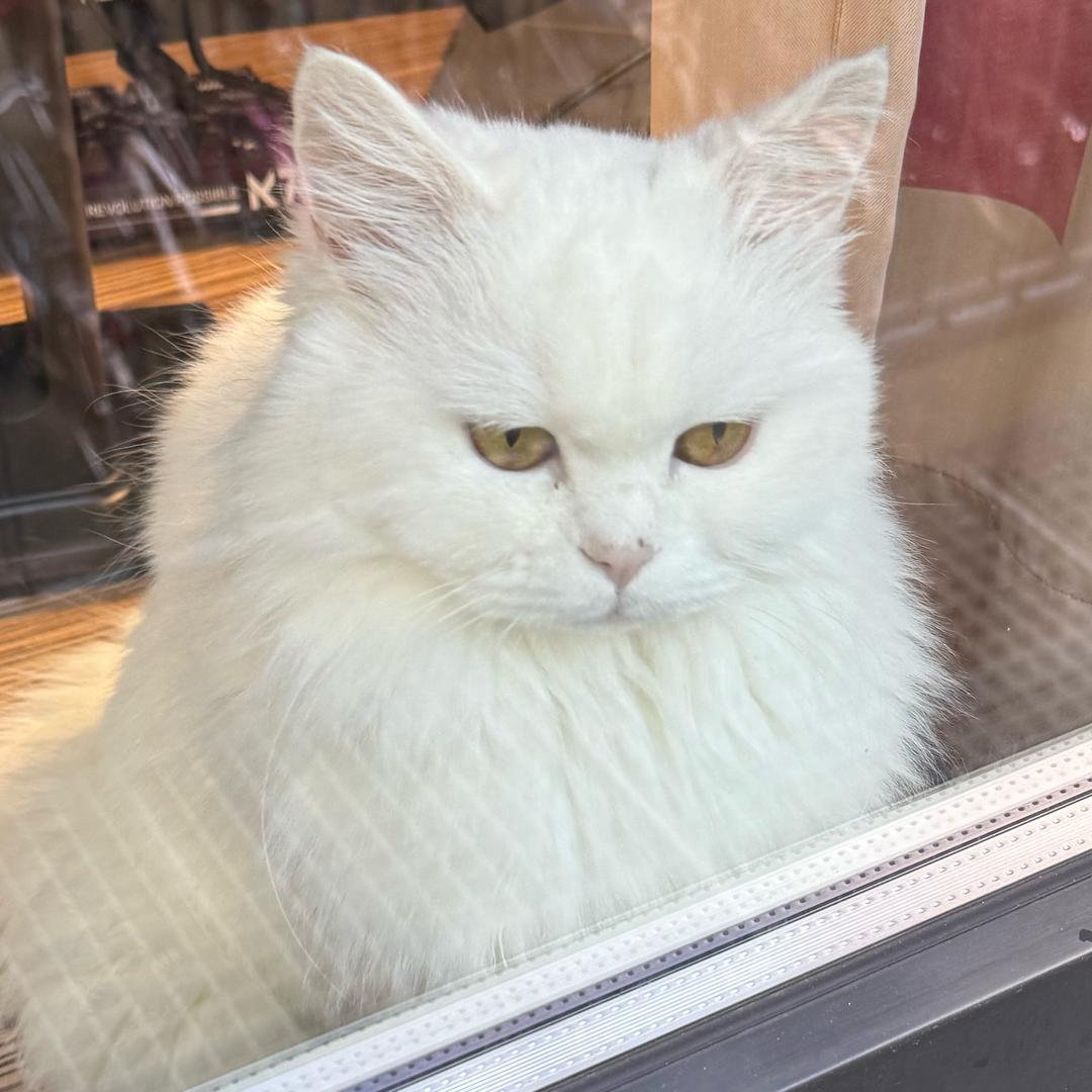何况