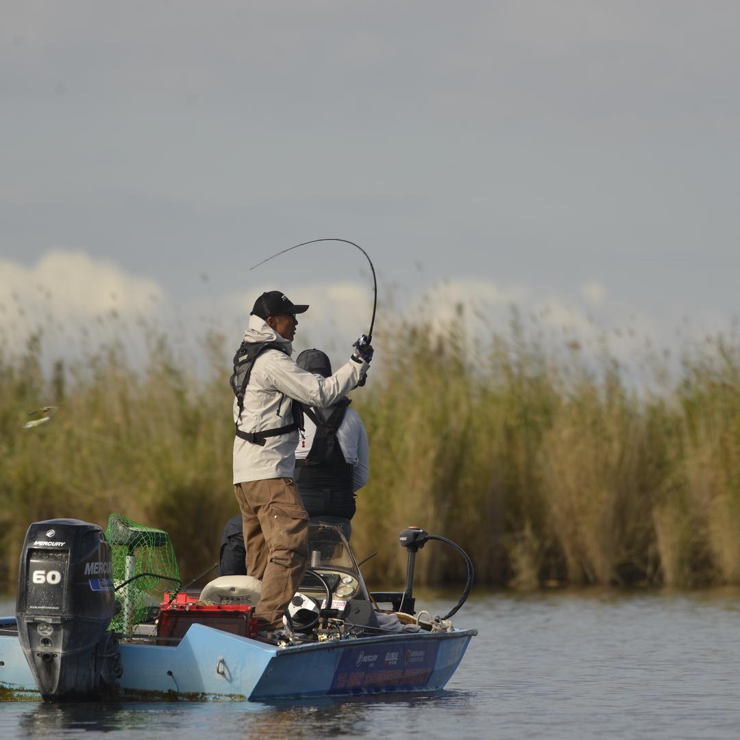 爱路亚的苗家伟