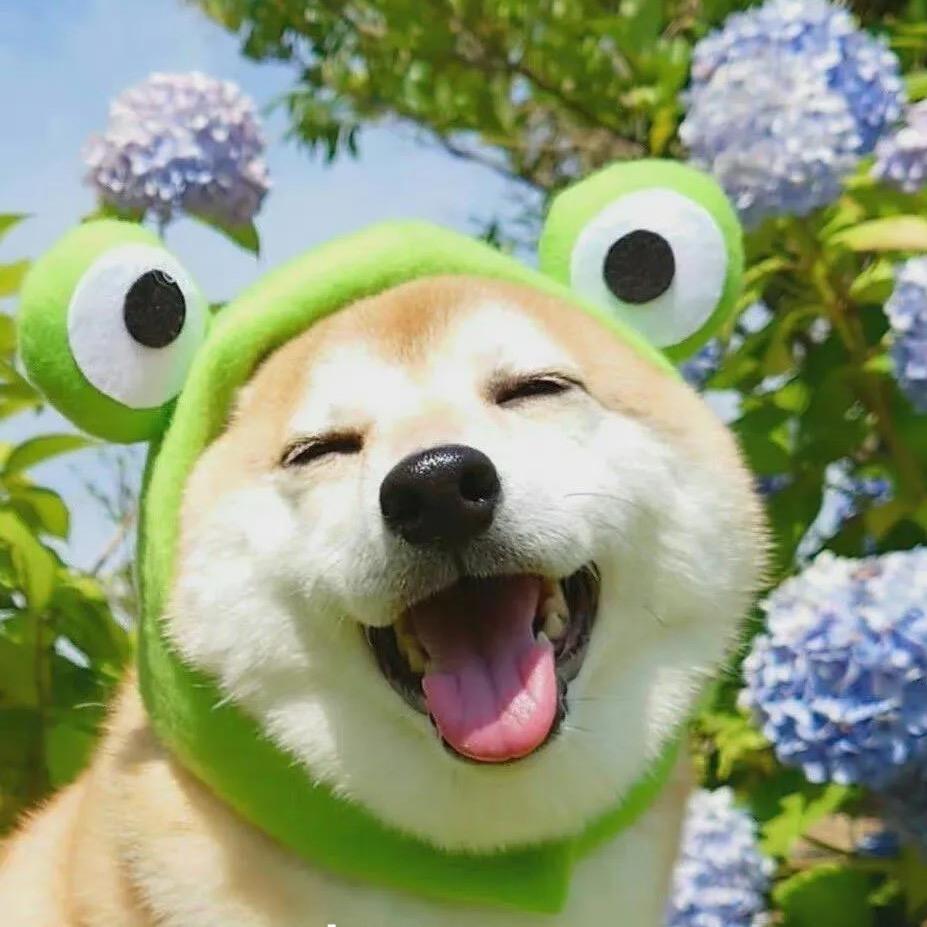 一位叫做明慧的女士——🌸