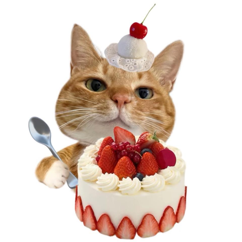蛋糕小猫咪🐾.