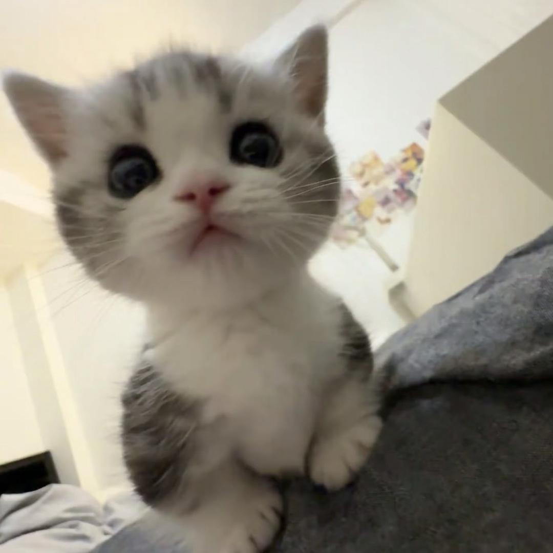 微笑鸡蛋仔