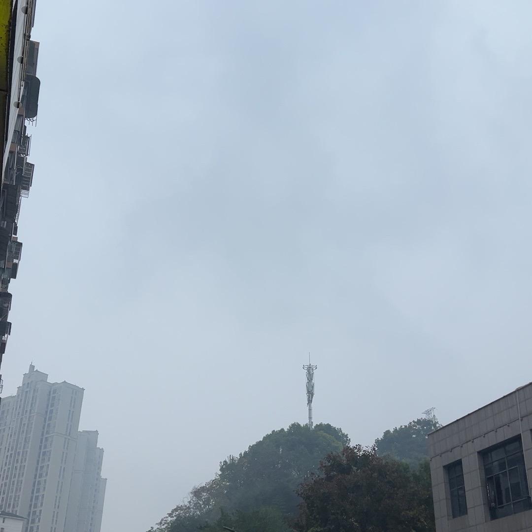 橙子主理人