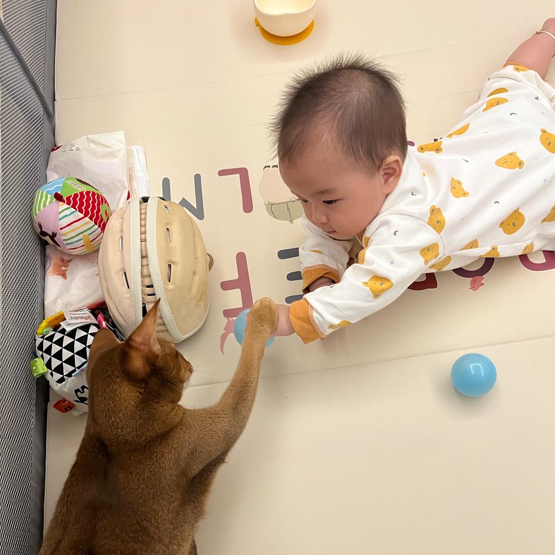 海悦 黄荣健😁