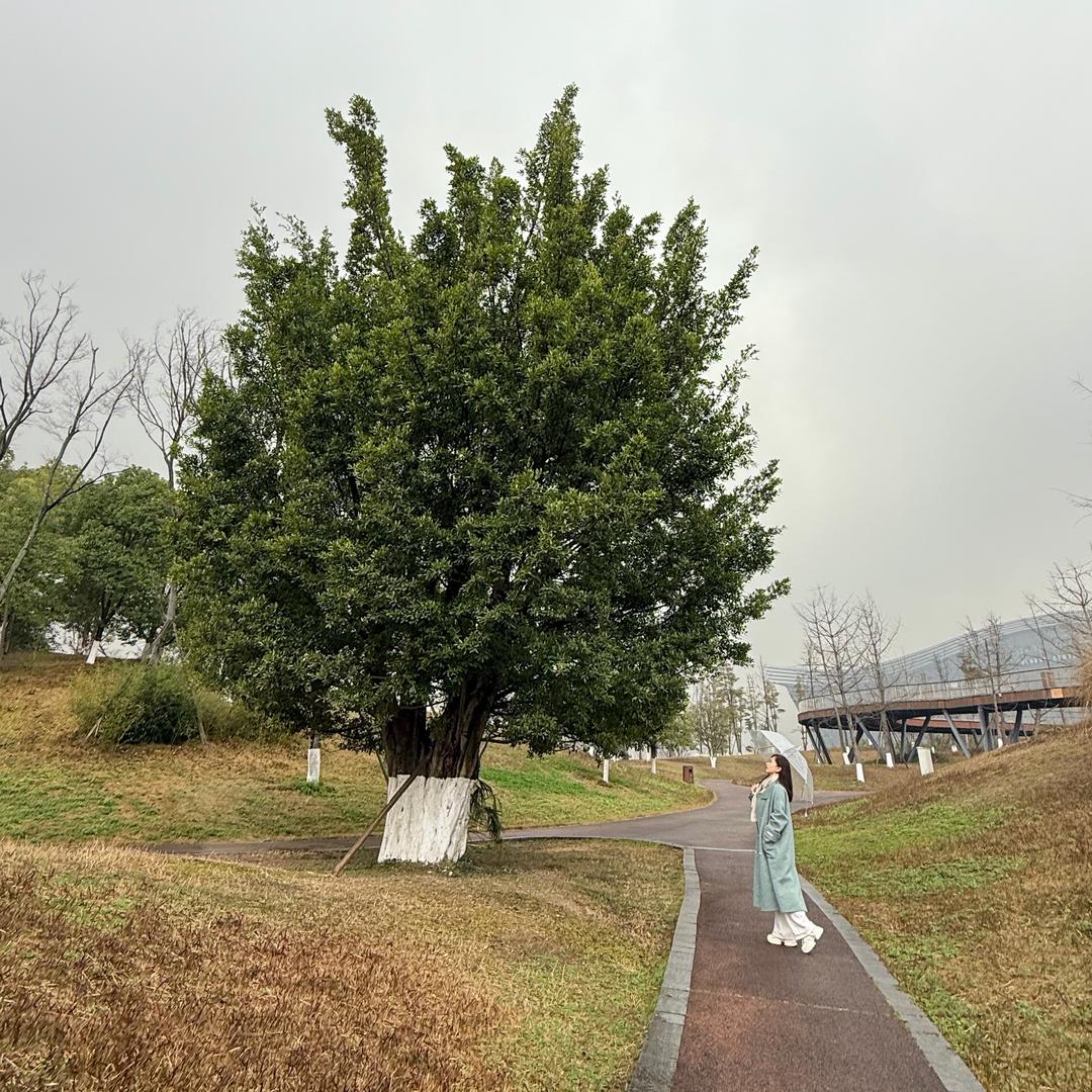 Yi 慕mmʕ ᵔᴥᵔ ʔ