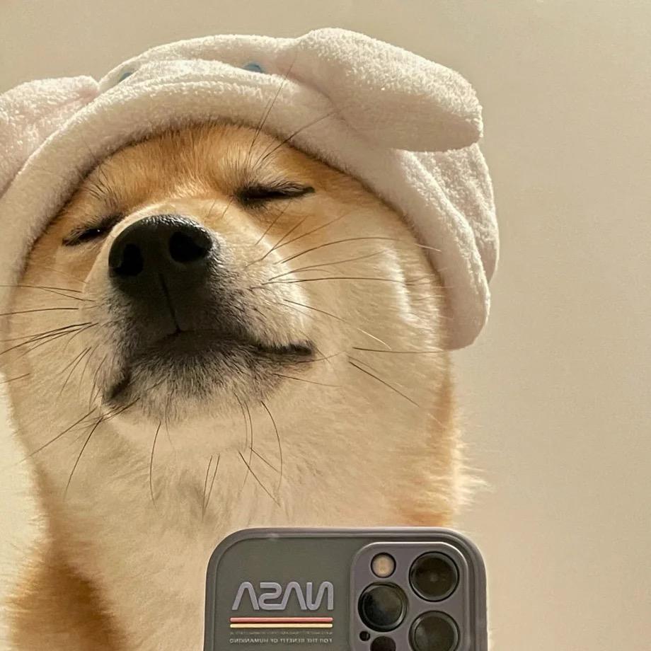 贺倩倩