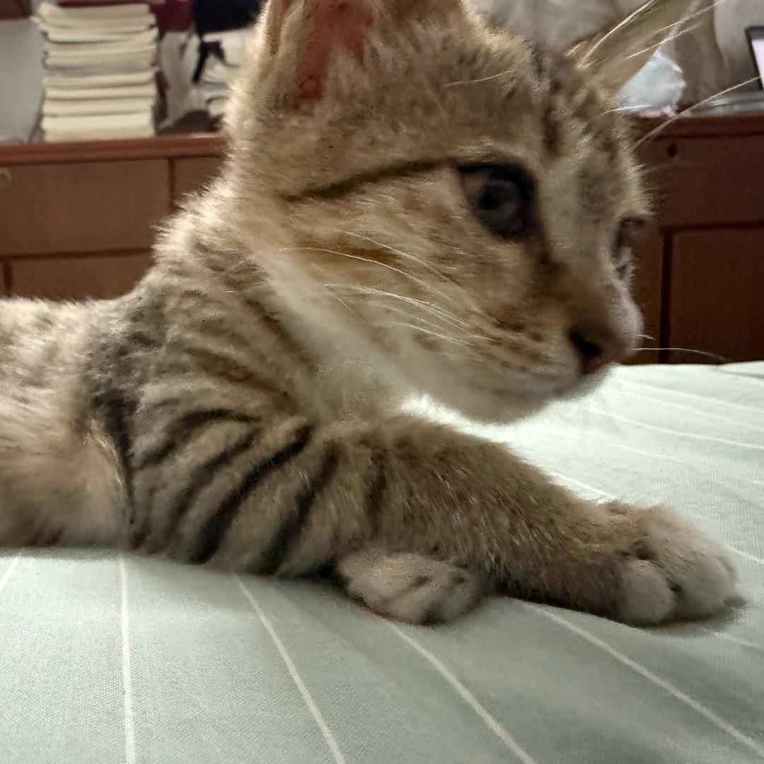 干红葡萄大峡谷