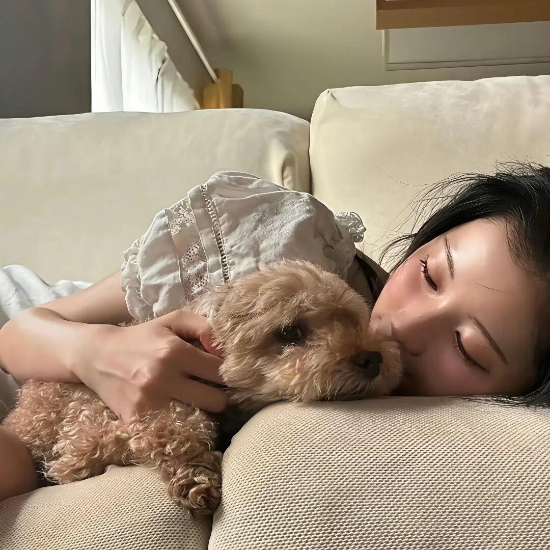 魔界一颗丸