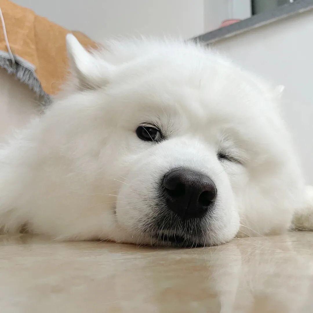 凌翔