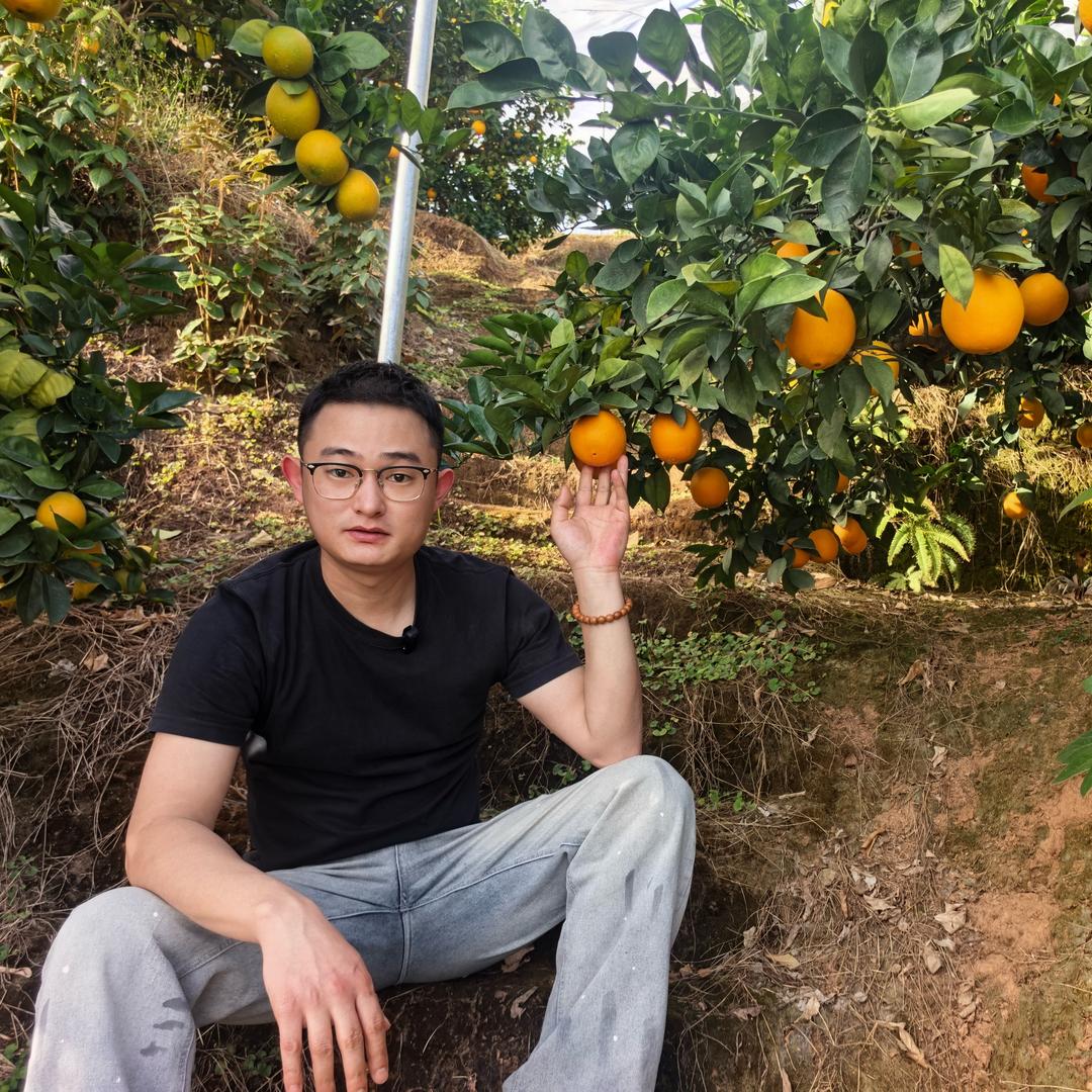 趙鲜生水果生鲜供应链