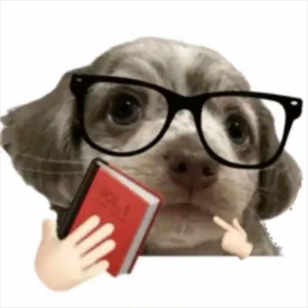 宁小白