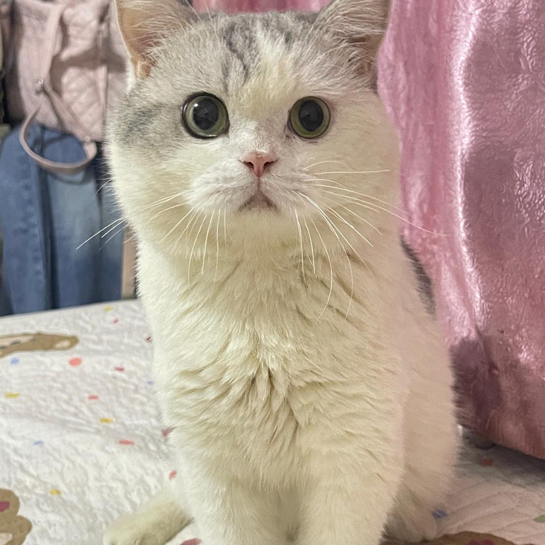 …。