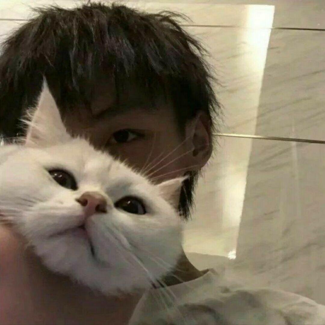 云雾