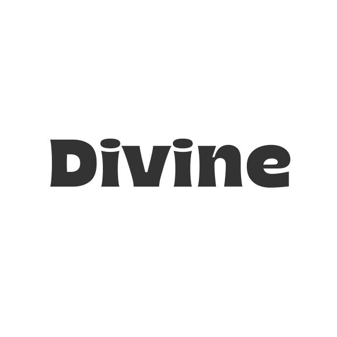Divine 轻奢女鞋