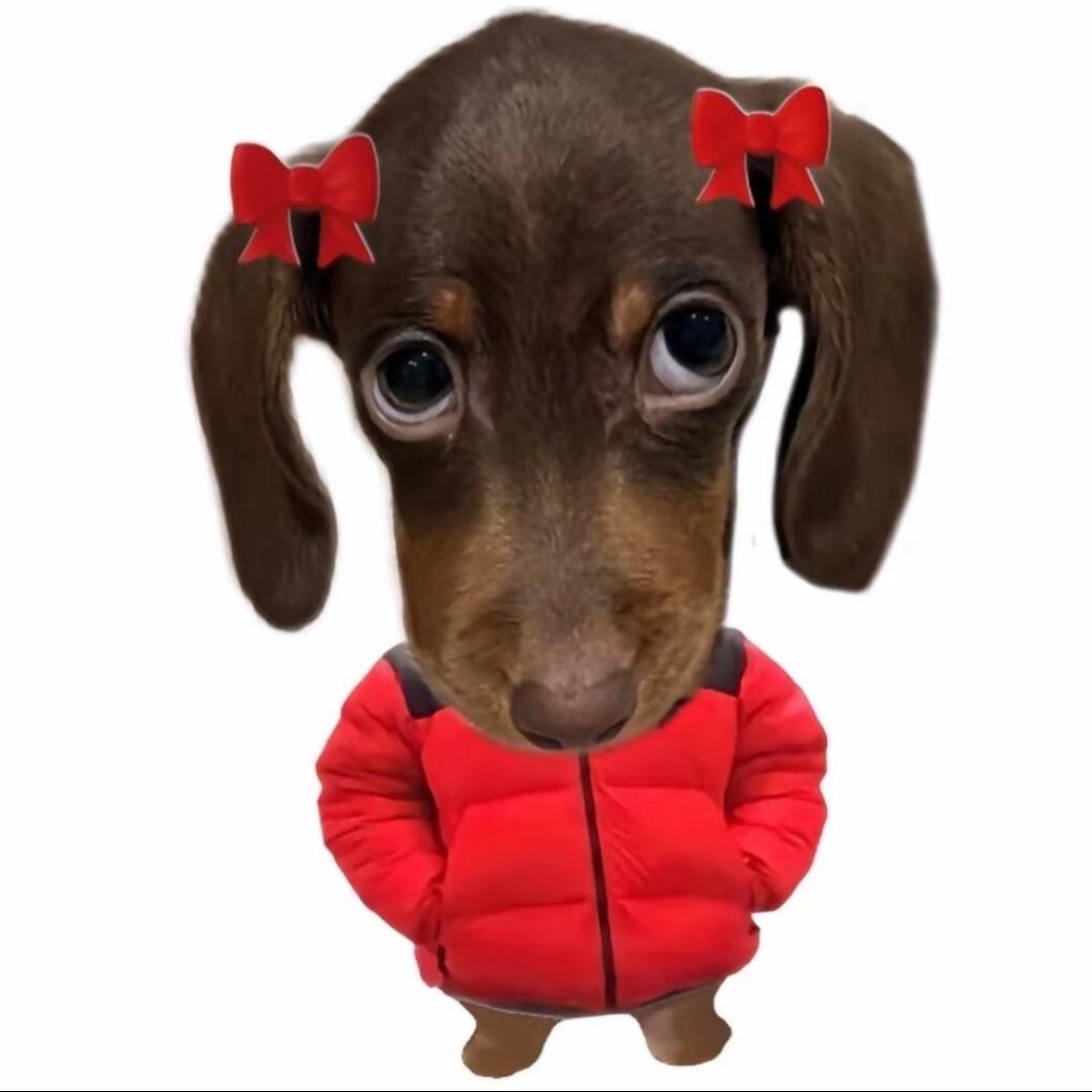 明天吃什么.