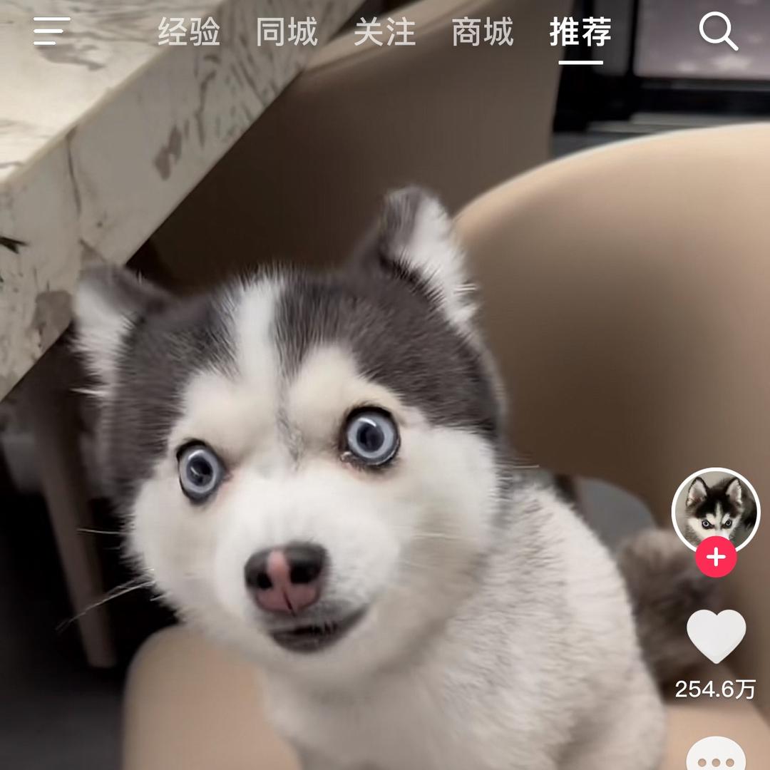 呃一个笑