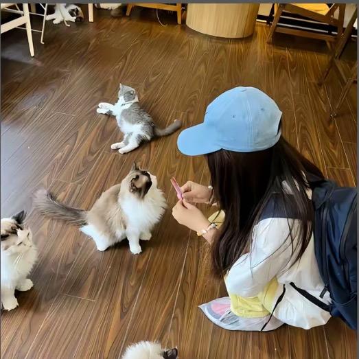 皮蛋不吃香菜——裤别🍂