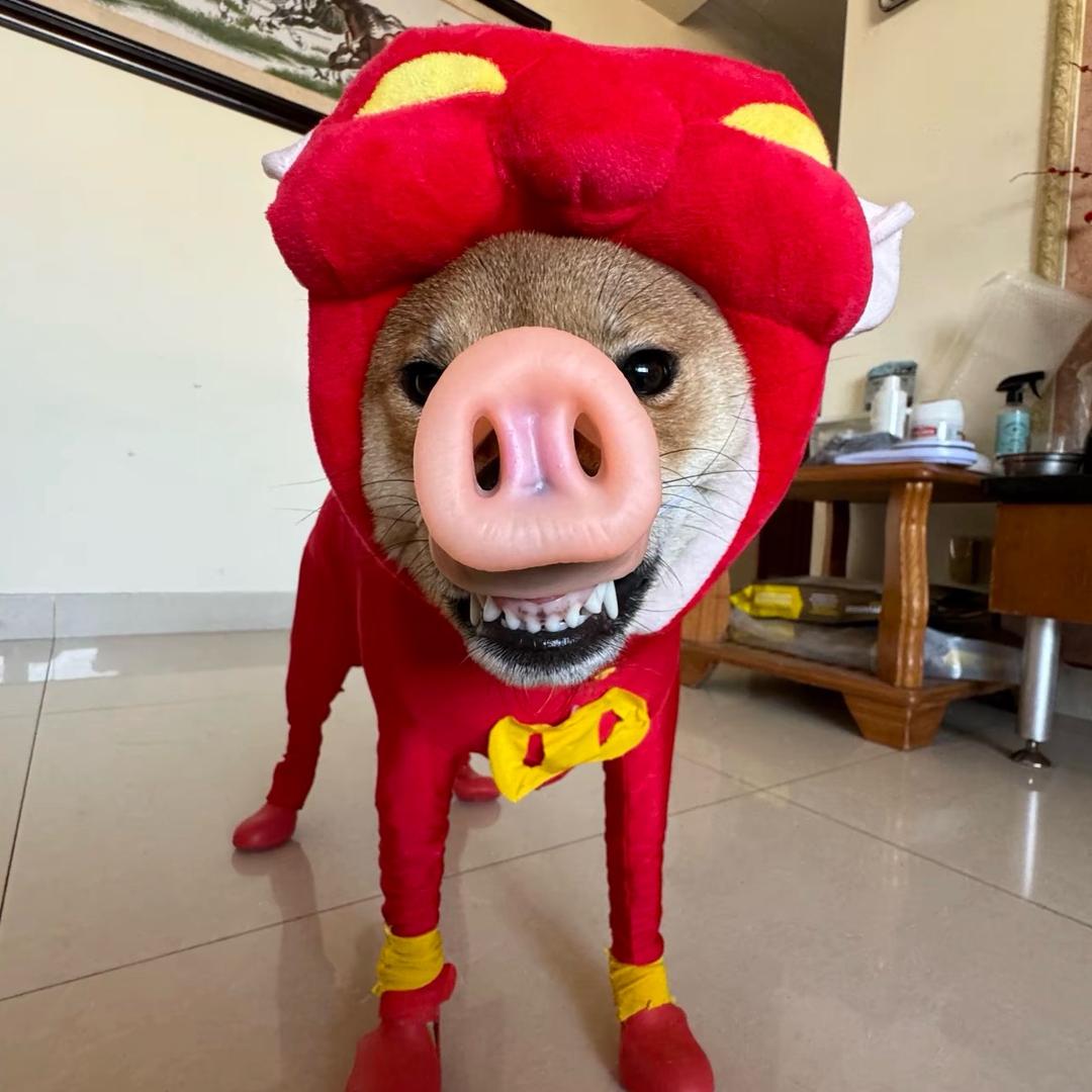 业余玩家