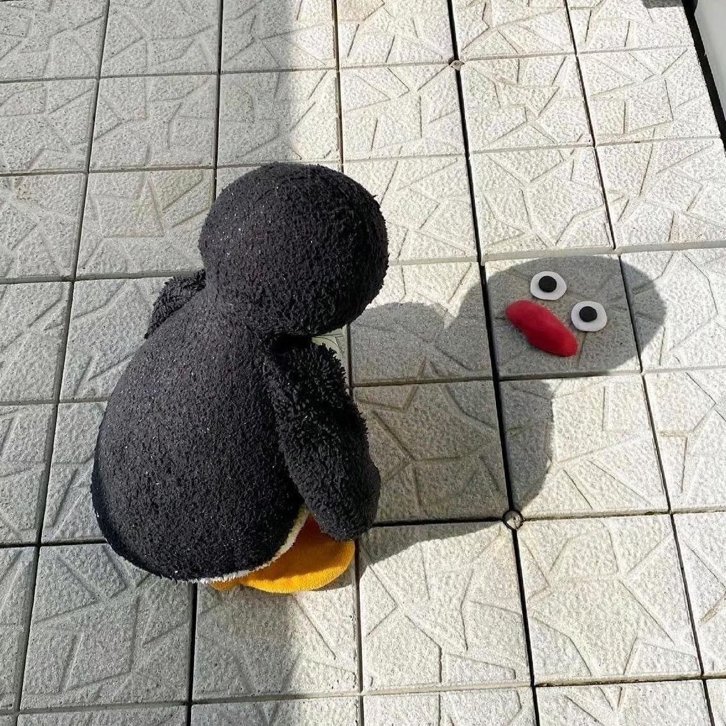 妍妍子的喂猫日记