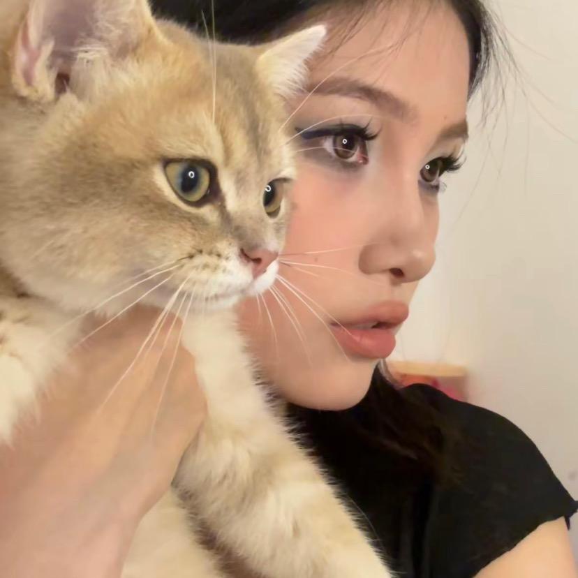 Bae