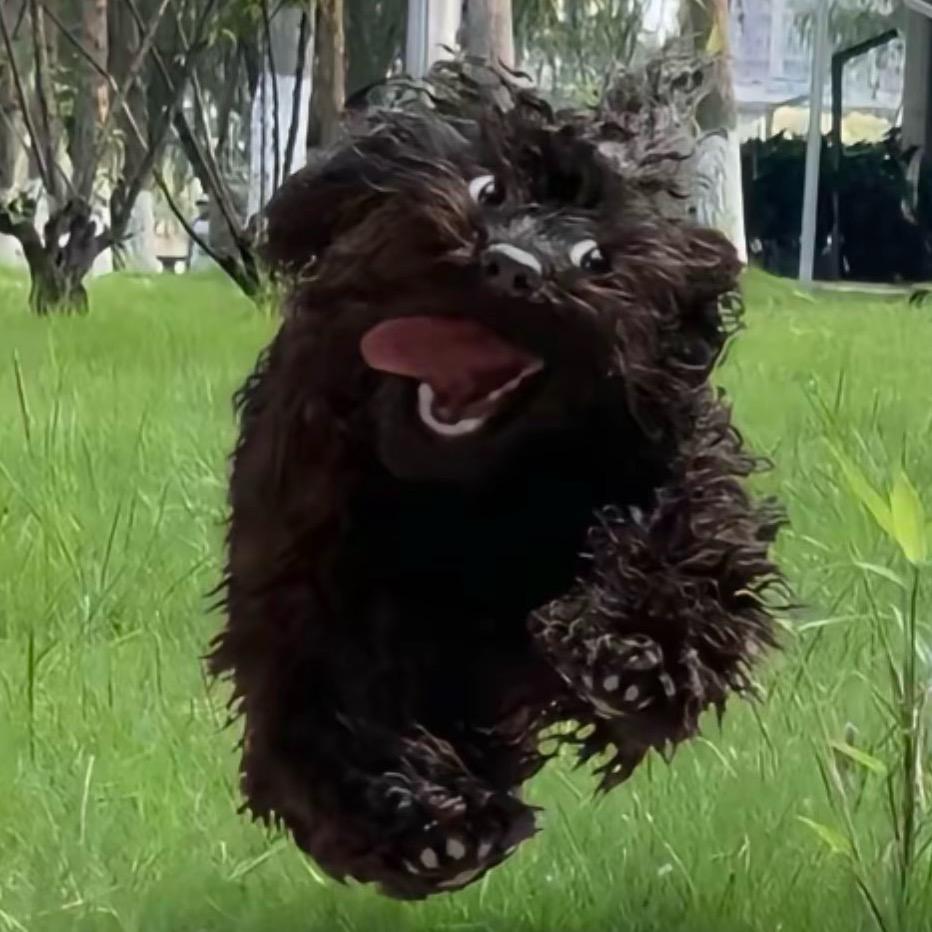 陈.