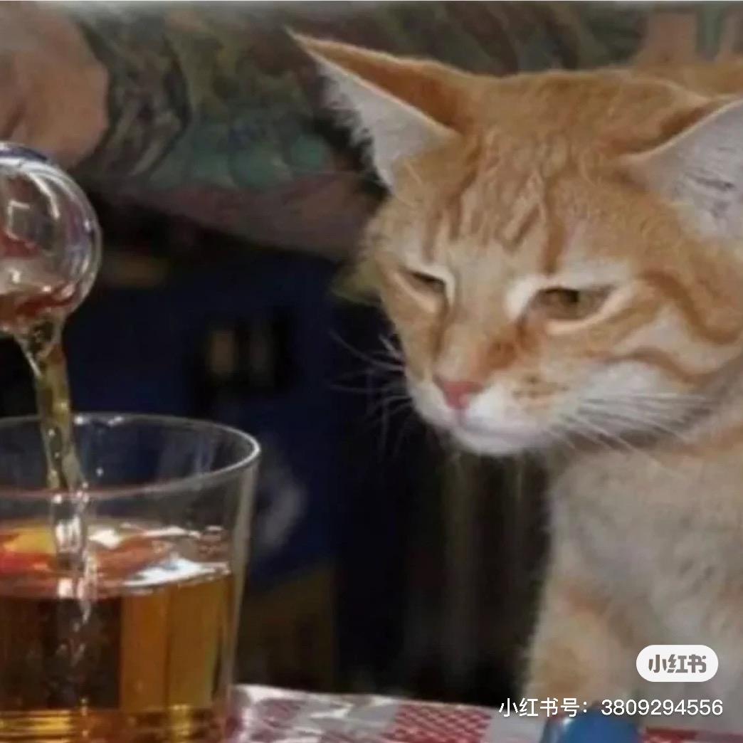 夜郎朴宝剑（健身版）