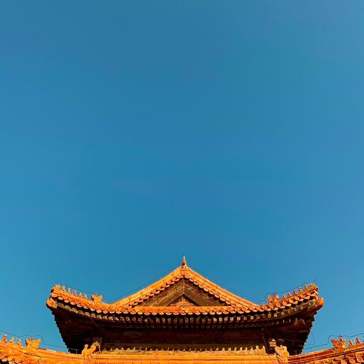 弋视界