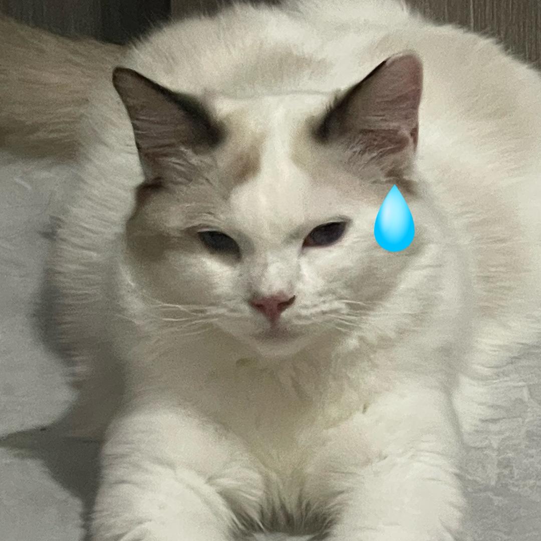 秒困大王