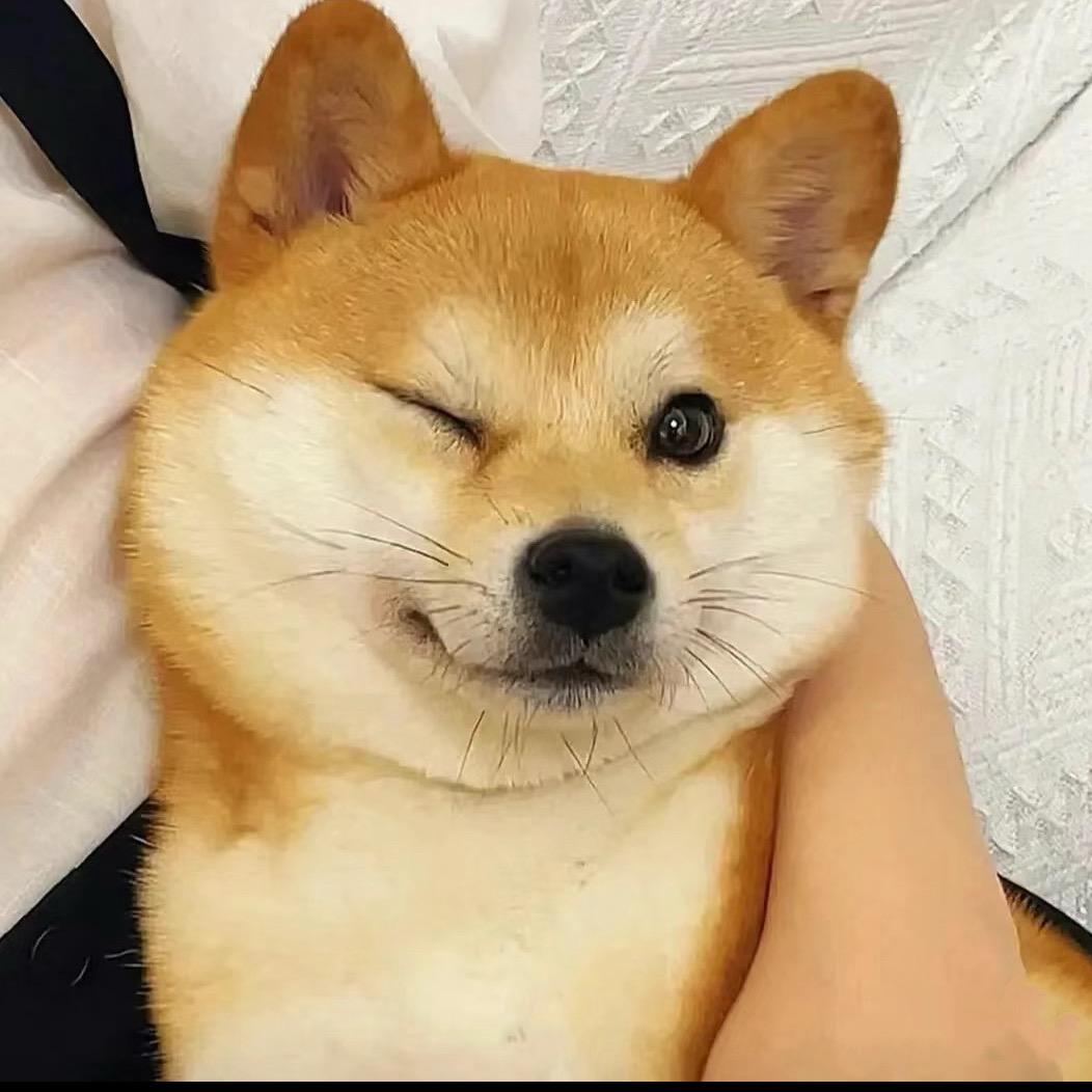 梦回江南