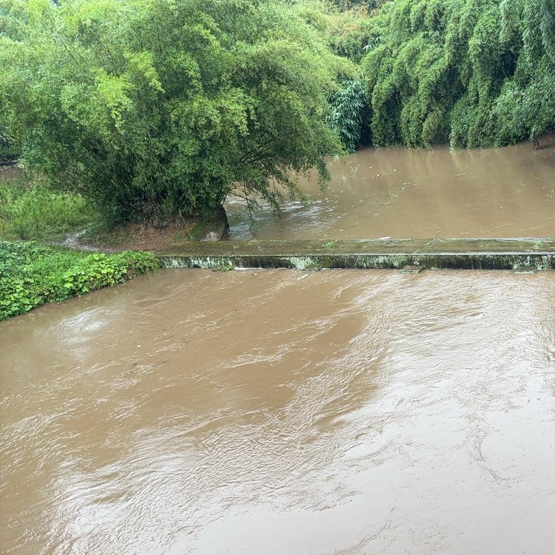 随风飘荡，天涯孤客