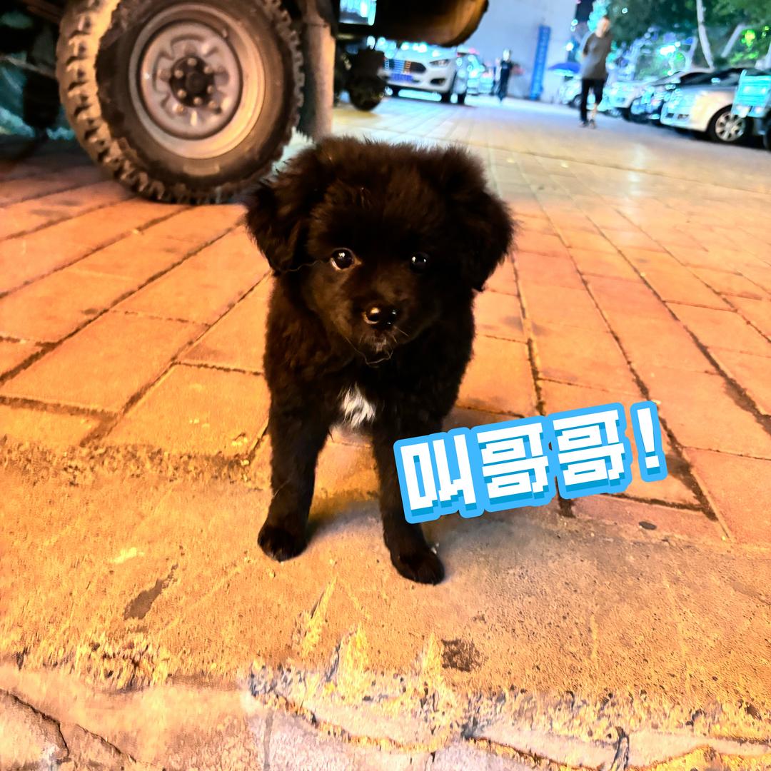 玉米老师的铁粉