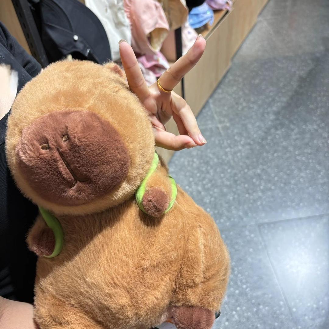 放猪的卡皮巴拉（🏋️版）