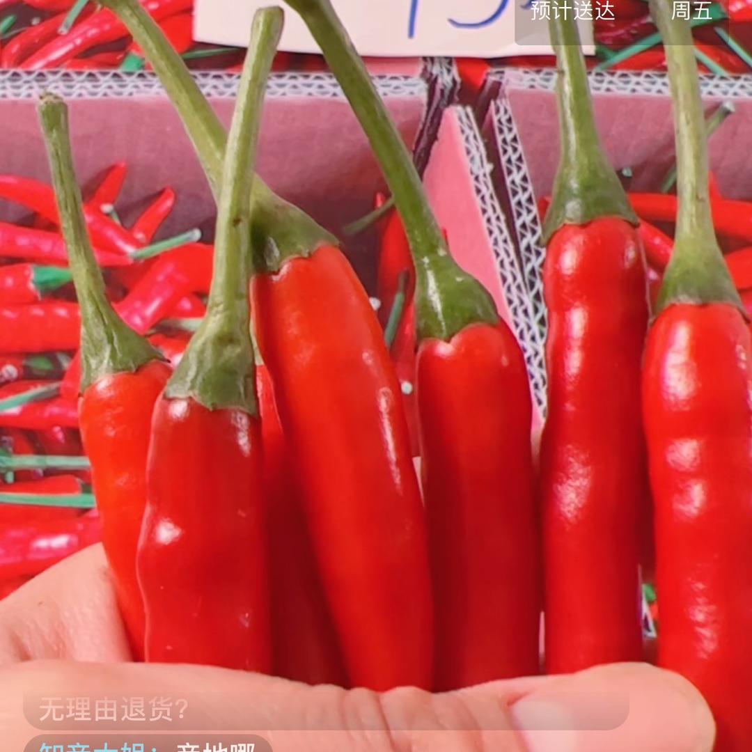 精选小米辣