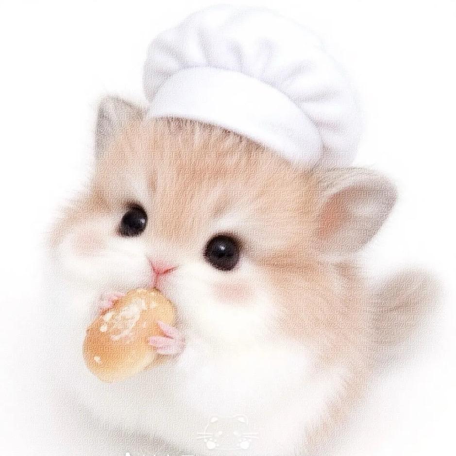 饼干q