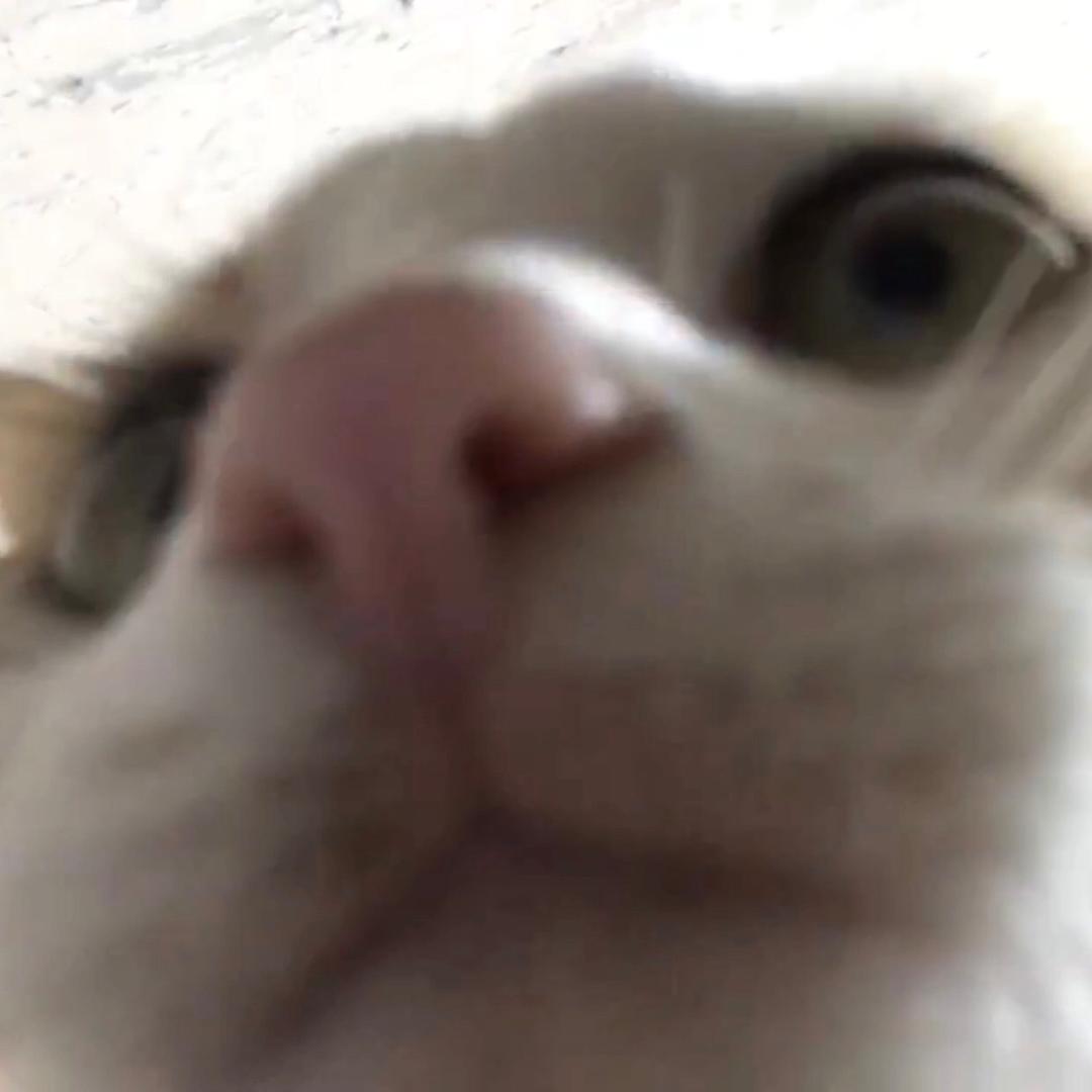 oorroorroo