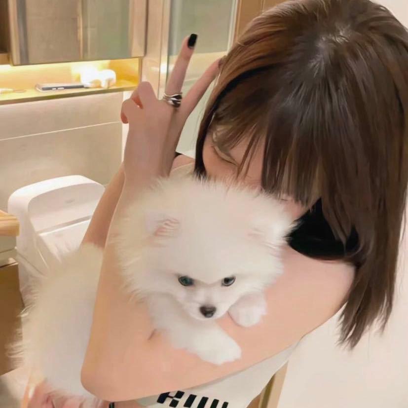 小知知