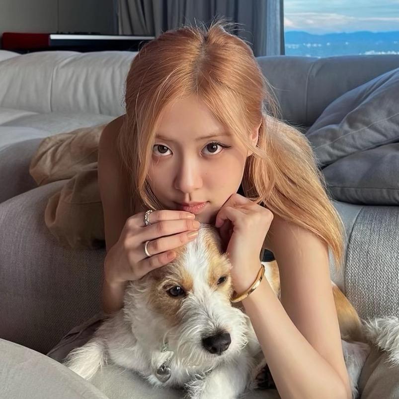 今天不喝奶茶🥤