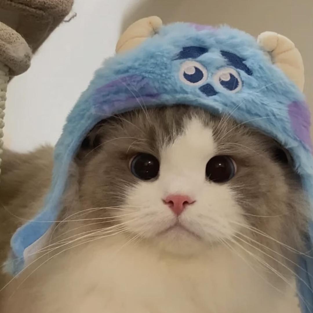 FuzzPaws乐爪宠物用品丹华妍策店