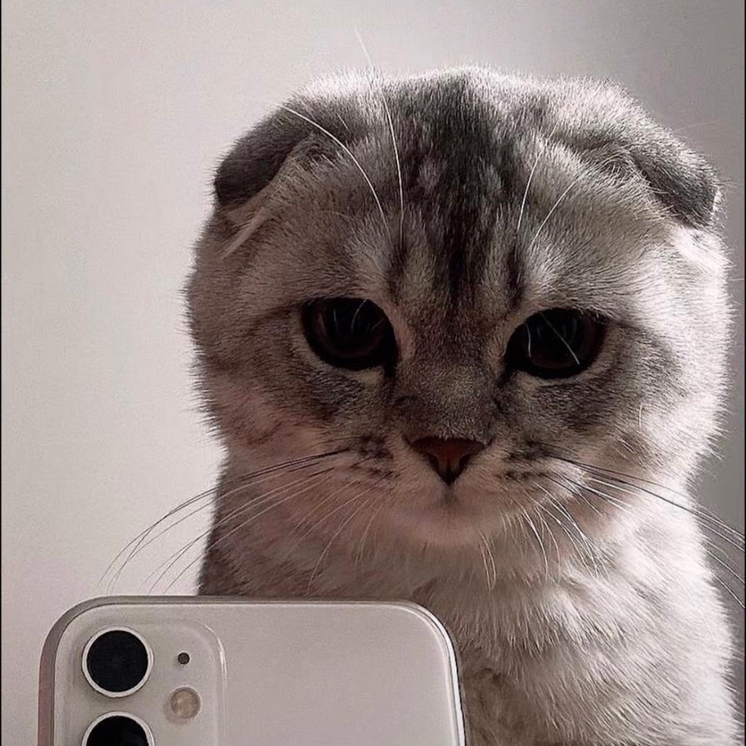 蔚蔚